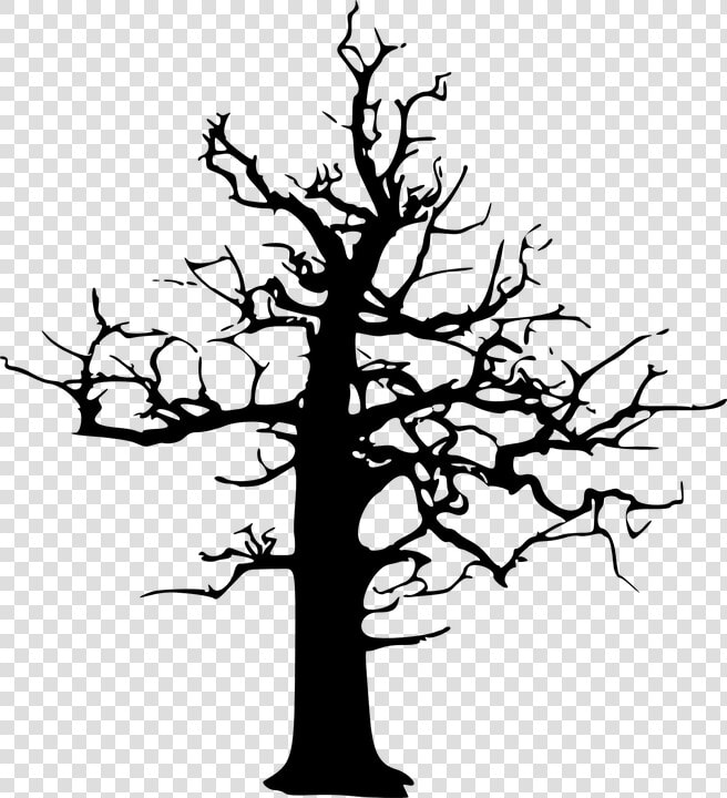 Forest Dieback  Forest Decline  Dead  Tree  Winter   Dead Tree Vector  HD Png DownloadTransparent PNG