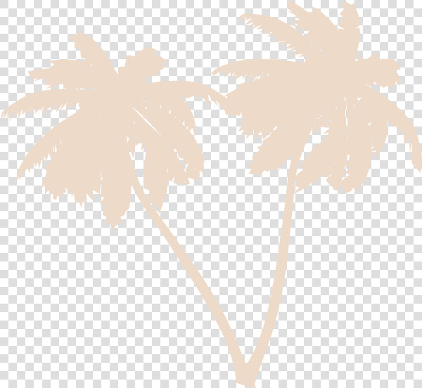 Palms Png  Transparent PngTransparent PNG