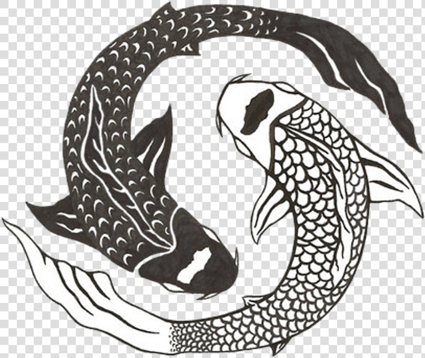 Drawn Koi Fish Aesthetic   Koi Fish Chinese Design  HD Png DownloadTransparent PNG