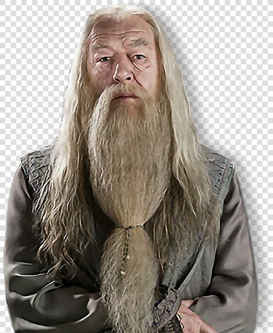  albus  percival  wulfric  brian  dumbledore  albusdumbledore   Albus Dumbledore  HD Png DownloadTransparent PNG