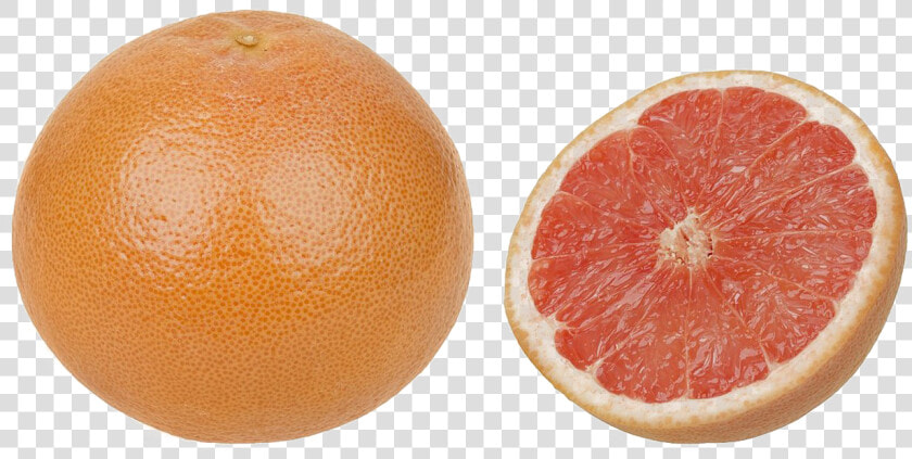 Grapefruit Png Image Background   Grapefruit Png  Transparent PngTransparent PNG