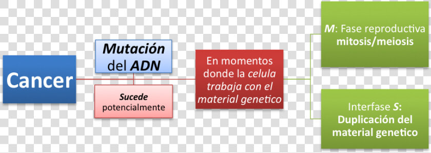 Conclusion Sobre El Cancer  HD Png DownloadTransparent PNG