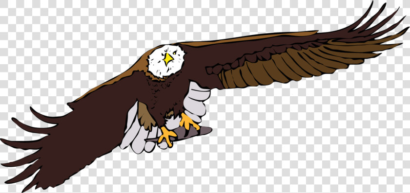 Eagle bald Eagle vulture   Cartoon Eagle Flying Gif  HD Png DownloadTransparent PNG