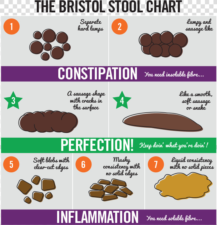 Bristolstoolchart   Bristol Stool Chart Fibre  HD Png DownloadTransparent PNG