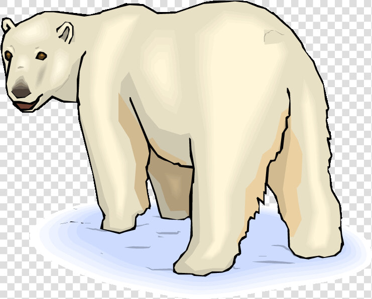 Pin Baby Polar Bear Clipart   Clip Art Polar Bear  HD Png DownloadTransparent PNG