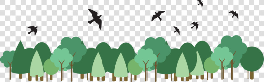 Transparent Tree From Above Png   Birds Above The Tree  Png DownloadTransparent PNG