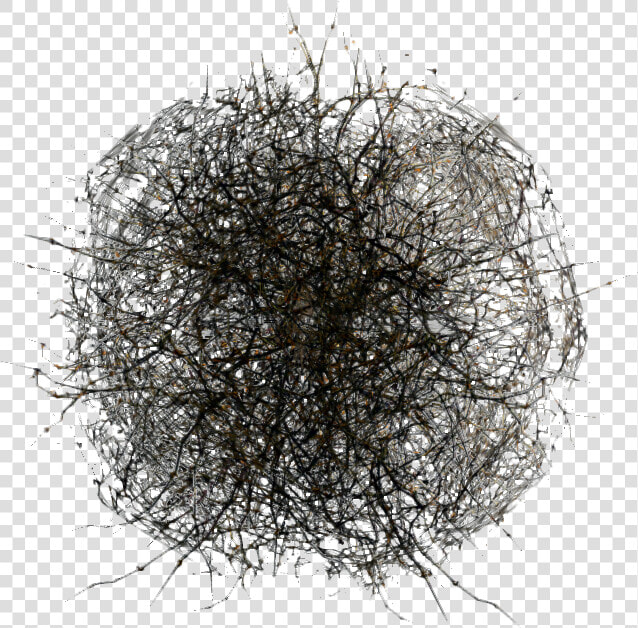 Png Tumbleweed  Transparent PngTransparent PNG