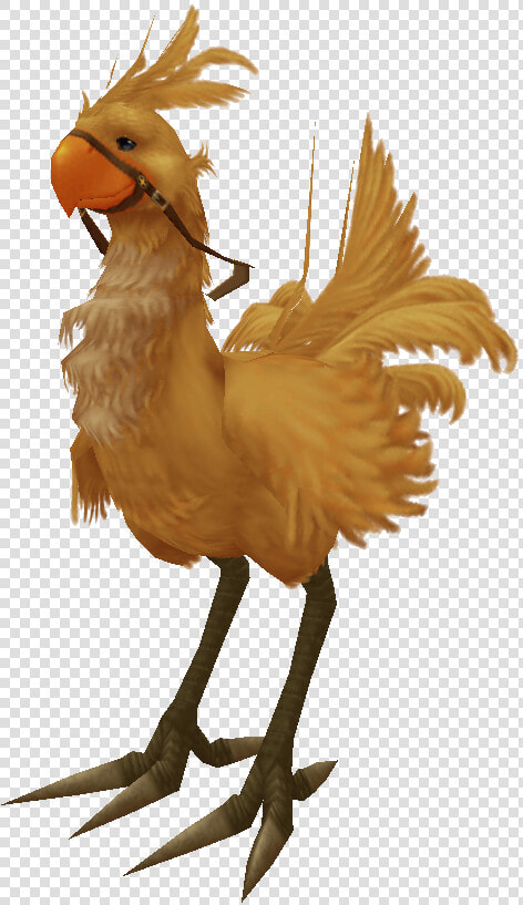 Final Fantasy Wiki   Chocobo Final Fantasy X  HD Png DownloadTransparent PNG