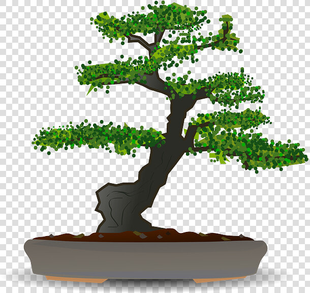 Bonsai  Tree  Dwarf Tree  Garden  Japan  Japanese   Bonsai Tree Vector Free  HD Png DownloadTransparent PNG