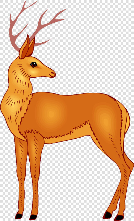 Baby Deer Clipart Free Clip Art Images   Deer Clip Arts  HD Png DownloadTransparent PNG