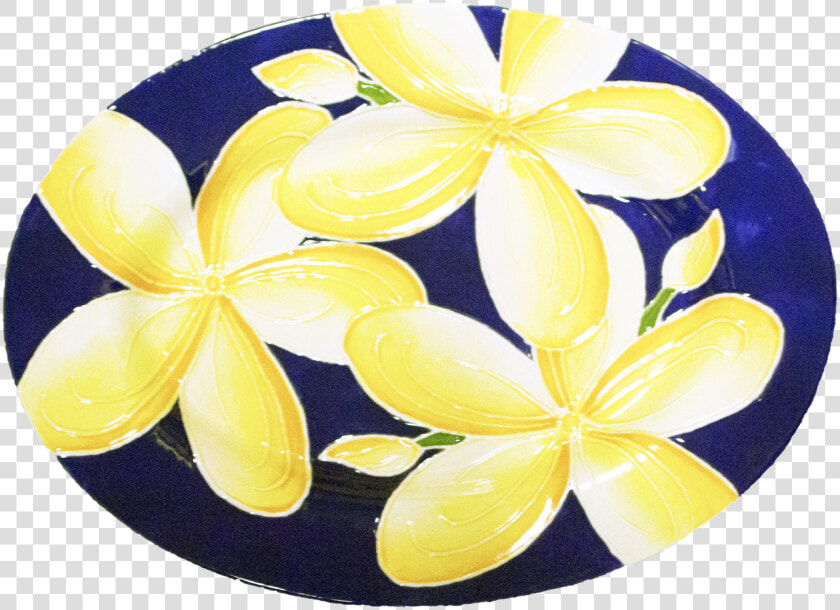 15   Frangipani  HD Png DownloadTransparent PNG