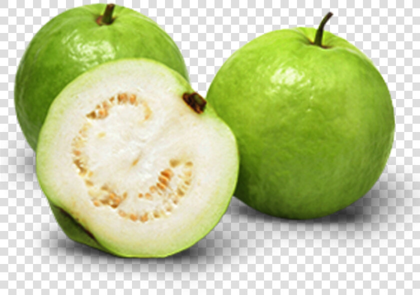 Indian Guava   Png Download   Allahabad Safeda Guava Variety  Transparent PngTransparent PNG