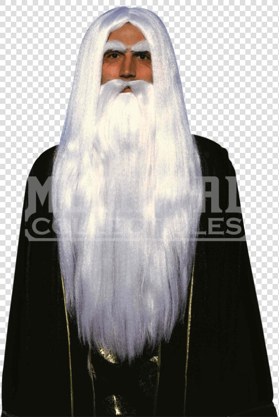 Wig   Warlock With Beard  HD Png DownloadTransparent PNG