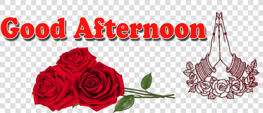 Transparent Good Afternoon Clipart   Good Afternoon Png  Png DownloadTransparent PNG