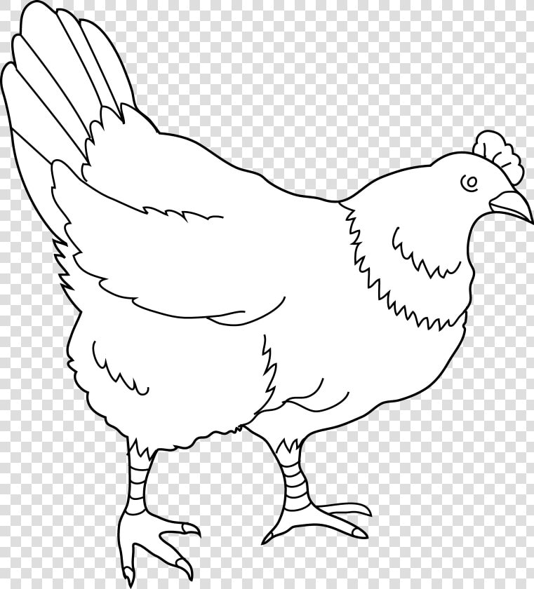 Drawing Clipart Hen   8 Hens Black And White Clipart  HD Png DownloadTransparent PNG