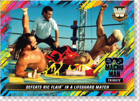 2018 Topps Wwe Heritage Defeats Ric Flair In A Lifeguard   Aadi Lagna Patrika  HD Png DownloadTransparent PNG