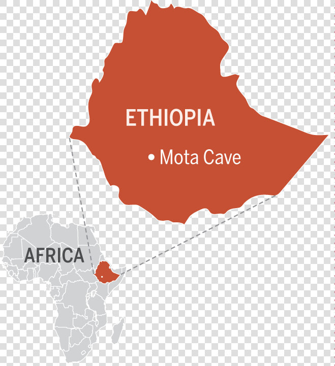 Researchers Sequenced The Genome Of A 4500 Year Old   Capital Of Ethiopia Map  HD Png DownloadTransparent PNG