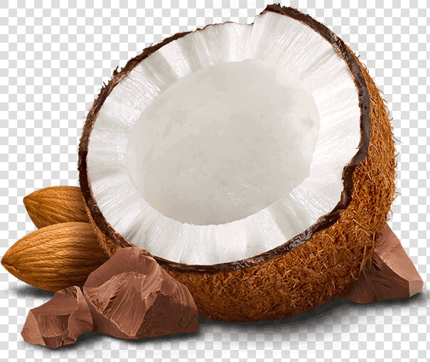 Png Almond Vector   Coconut And Almond Png  Transparent PngTransparent PNG