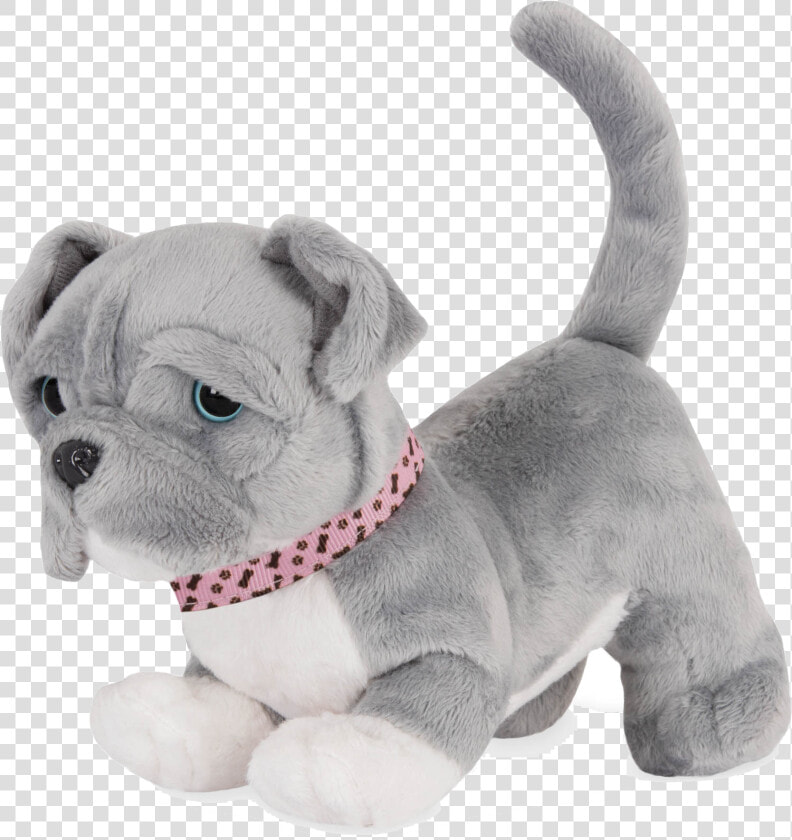 Pitbull Pup With Front Paws Bent  HD Png DownloadTransparent PNG