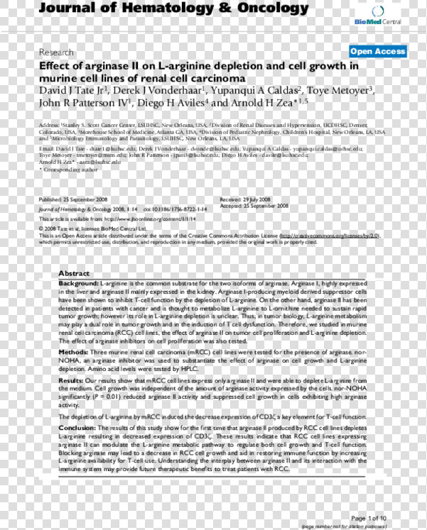 Primary Intestinal Lymphangiectasia Ultrasound  HD Png DownloadTransparent PNG