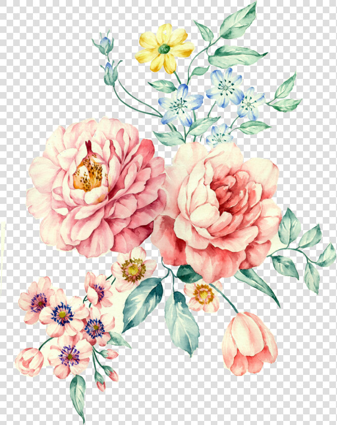  flower  flowers  peony  peonia  color  pastel  watercolor   Peony  HD Png DownloadTransparent PNG