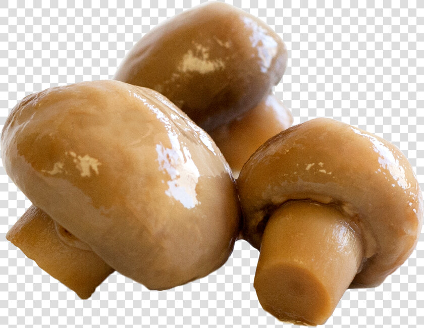 Champignon Mushroom  HD Png DownloadTransparent PNG