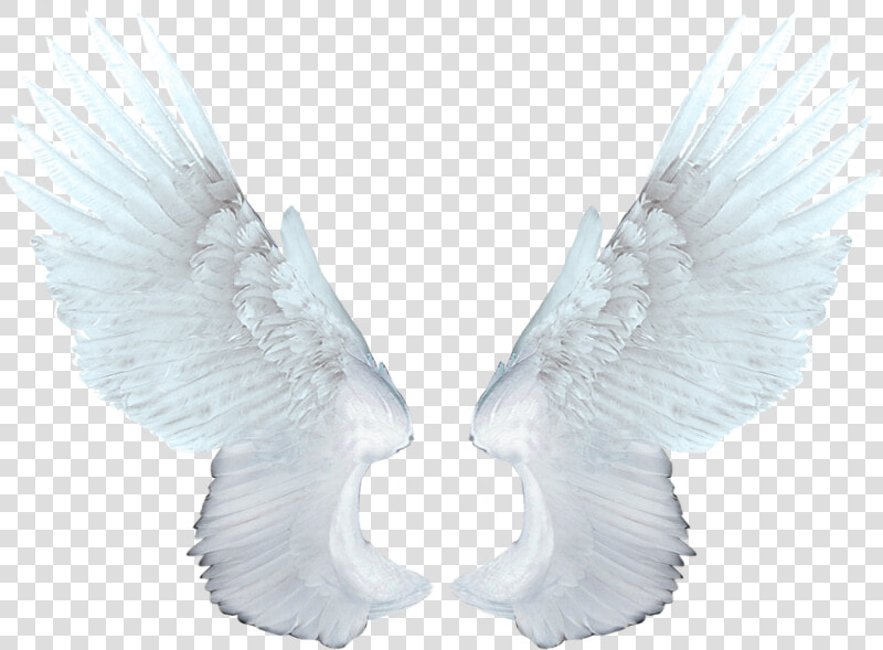 Wings Angel Png   White Angel Wings Png  Transparent PngTransparent PNG