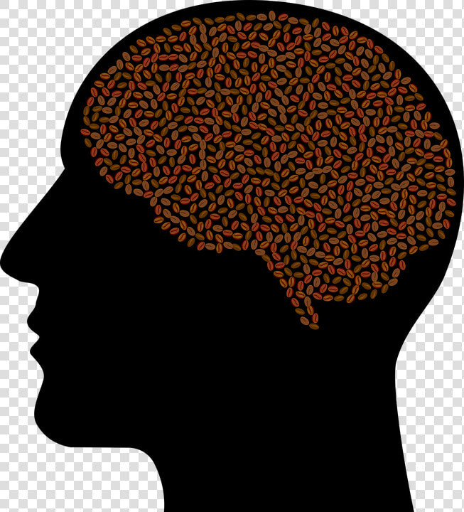 Brain On Drugs Png  Transparent PngTransparent PNG