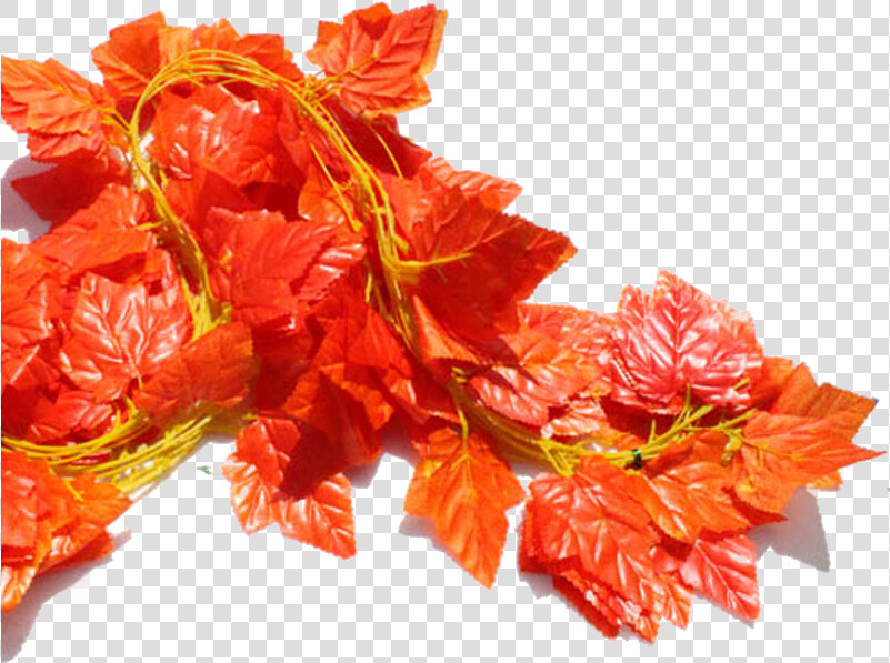 Su Shi Rattan Wall Hanging Fake Flower Vine Decorative   Raksha Bandhan  HD Png DownloadTransparent PNG