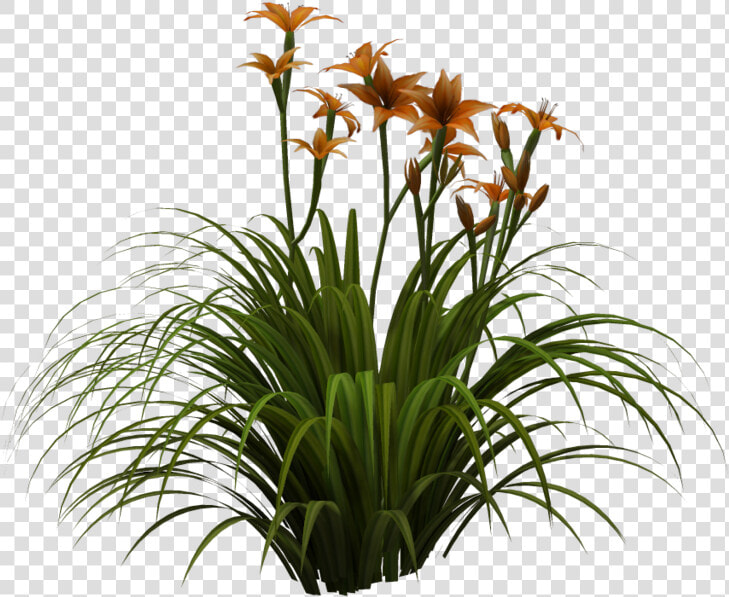 Free Tall Grass Png   Png Tall Grass  Transparent PngTransparent PNG