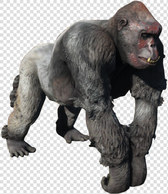 Nukapedia The Vault   Fallout Gorilla  HD Png DownloadTransparent PNG