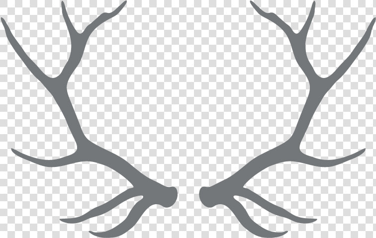 Clipart Free Download Antlers Transparent Black And   Transparent Background Antler Clipart  HD Png DownloadTransparent PNG