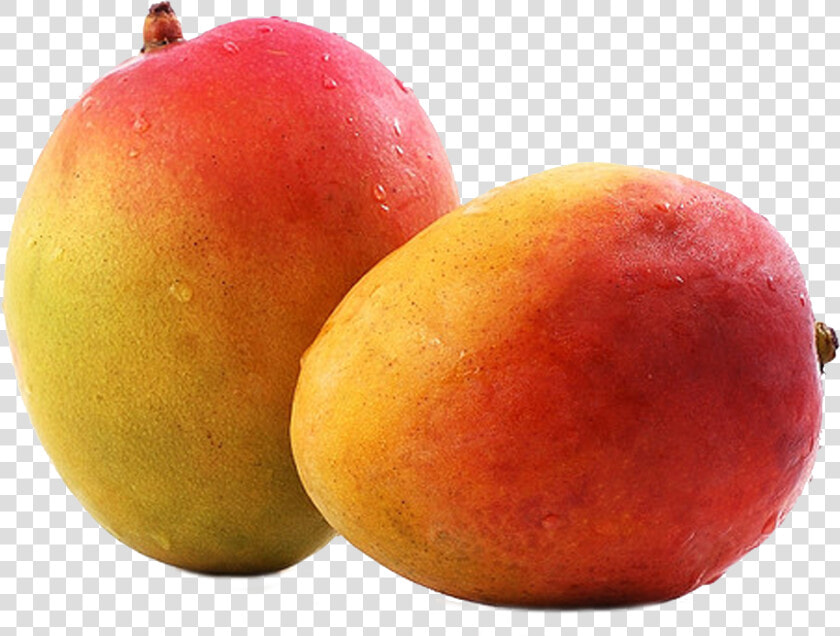 Mango Png Image   Unhealthy Fruit  Transparent PngTransparent PNG