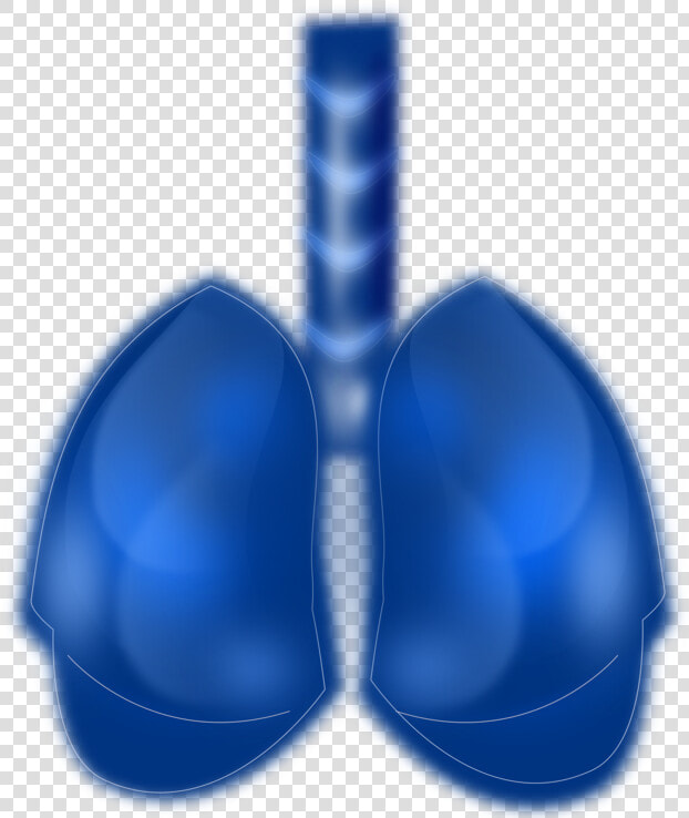 Blue Lungs Human Png  Transparent PngTransparent PNG