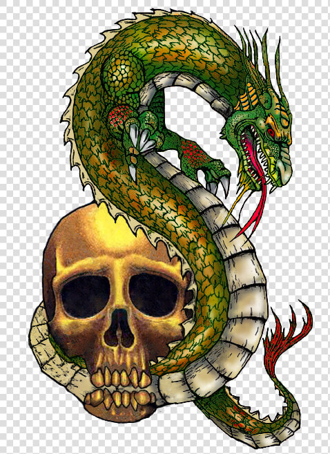 Dragon And Skull Tattoo 2014ab   Skull Dragon Tattoo Png  Transparent PngTransparent PNG