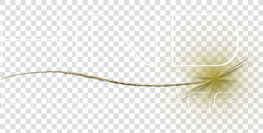 Hind Maquillage   Wire  HD Png DownloadTransparent PNG