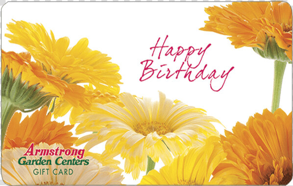 Birthday Gift Card   Armstrong Garden Centers  HD Png DownloadTransparent PNG