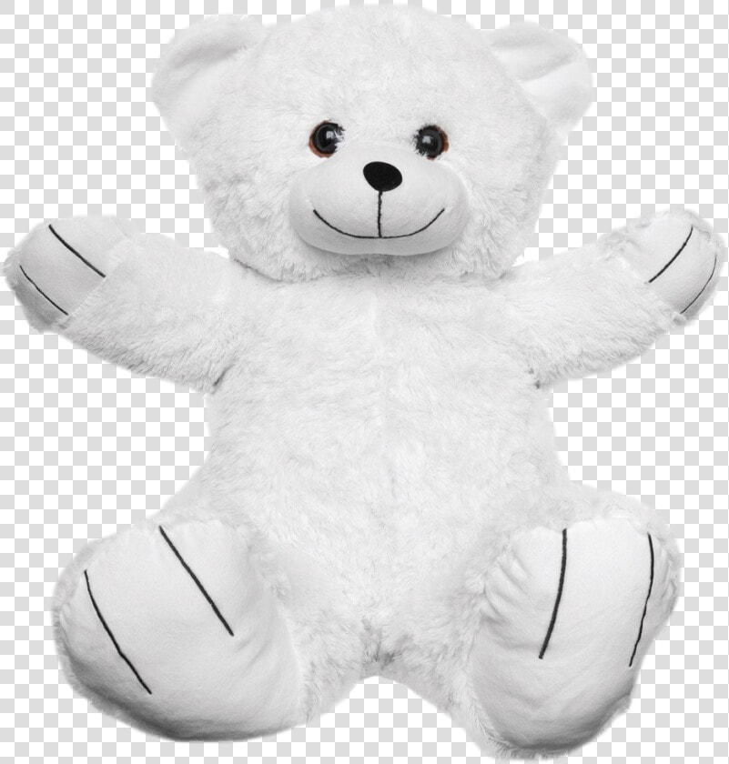 White Teddy Bear Png Transparent Picture   Teddy Bear  Png DownloadTransparent PNG