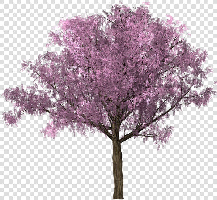 Tree  Design  Graphics  Clipping  Scrap  Photoshop   Cherry Blossom Tree Photoshop  HD Png DownloadTransparent PNG