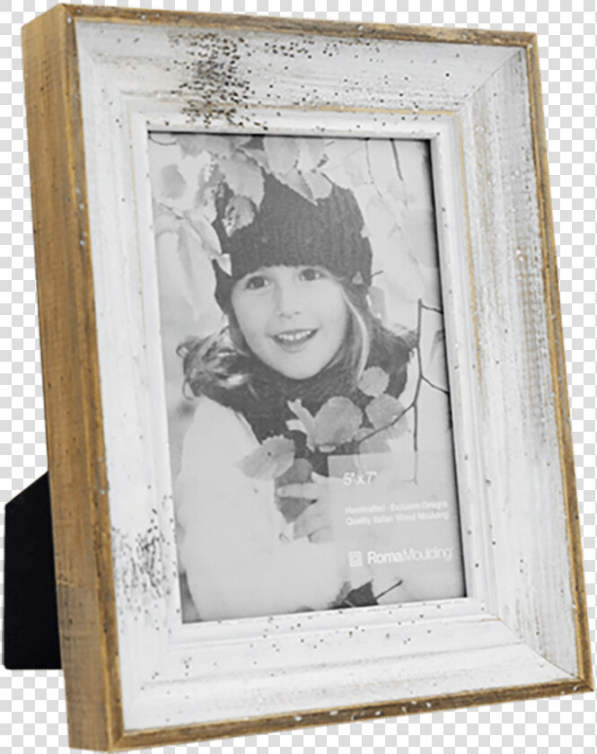 1703009 57 Angle Aviktf Copy   Picture Frame  HD Png DownloadTransparent PNG