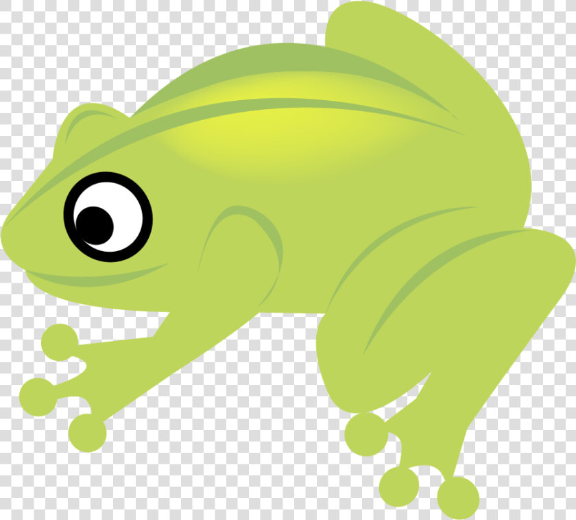 Reptile Clipart   Png Download   Bufo  Transparent PngTransparent PNG