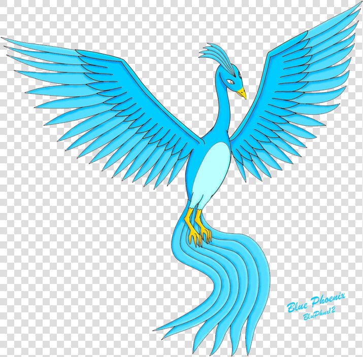 Download Blue Phoenix Png Image   Blue Phoenix Transparent Background  Png DownloadTransparent PNG