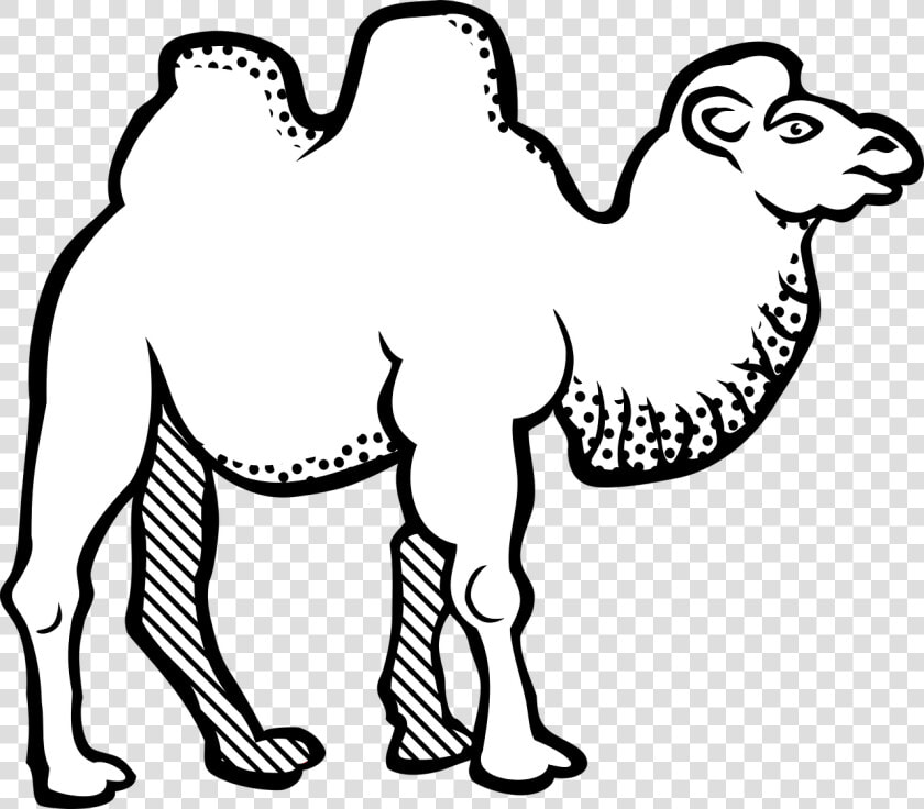 Bactrian Camel Black And White  HD Png DownloadTransparent PNG