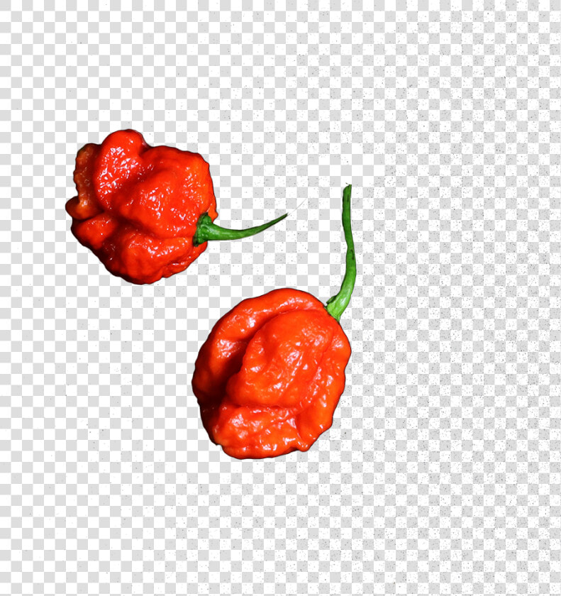 De Carolina Reaper Is De Allerheetste Chilipeper Ter   Illustration  HD Png DownloadTransparent PNG