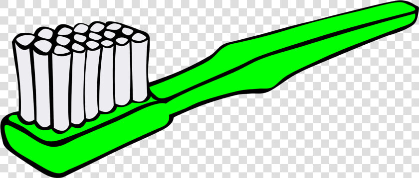 Stuff Can Grow On Your Toothbrush   Toothbrush Clipart  HD Png DownloadTransparent PNG