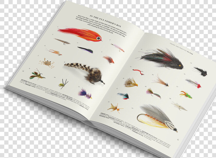 The Fly Fisher Gestalten Book Flyfishing Class   Madagascar Hissing Cockroach  HD Png DownloadTransparent PNG