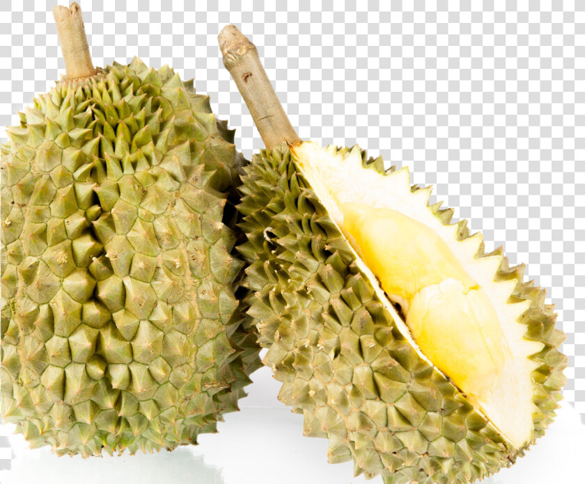 Durian  HD Png DownloadTransparent PNG