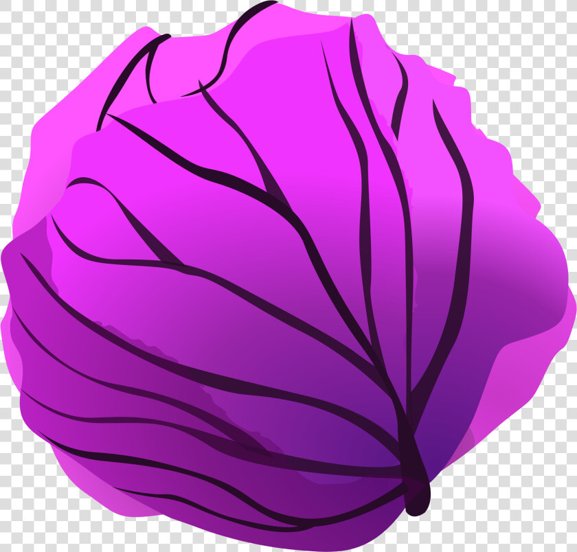 Red Cabbage Clip Arts   Purple Cabbage Clipart  HD Png DownloadTransparent PNG