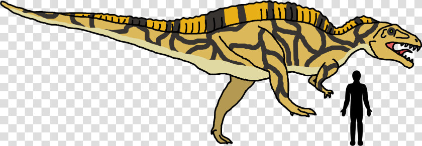 Spinosaurus Png  Transparent PngTransparent PNG