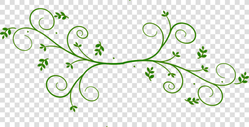 Floral Design  Green  Leaves  Beautiful  Ornament   Clip Art  HD Png DownloadTransparent PNG